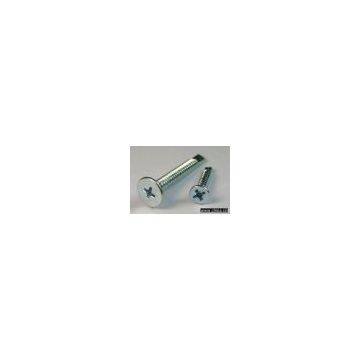 Self-Drilling screw