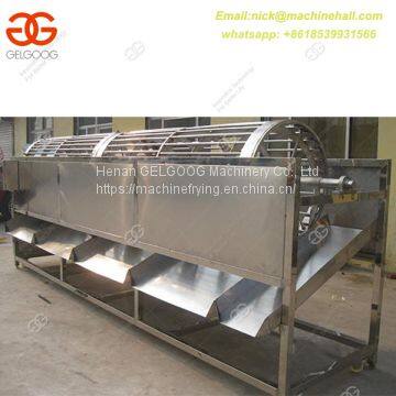 Onion Sorting Machine|Onion Grading Machine for Sale|Professional Onion Picking Machine photo-3