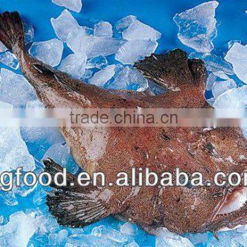 Frozen Monkfish whole all sizes