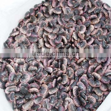 Large Black Speckled Kidney Beans, max. 38/100gr