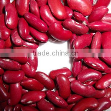 Dark Red Kidney Beans