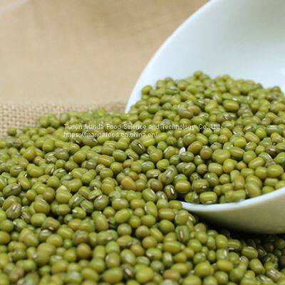 Mung Bean