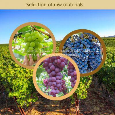 Grape Seed Oil Carrier Essential Oil photo-4