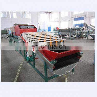 Dried Fruit Chips Pineapple Slices Grading Machine photo-4
