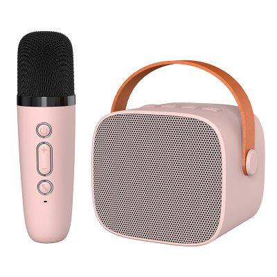 Professional Music Player Home Decoration Wireless Portable Karaoke Machine Mic with Speaker Children's Birthday Gift