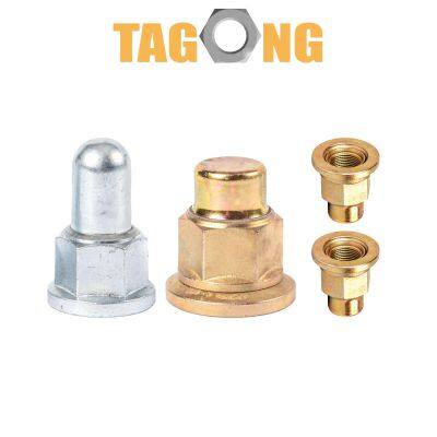 Acorn Nuts DIN1587 Cap Nut DIN917 Carbon Steel