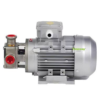 RXB-25 AH 12V Electric Aluminum Electronic Fuel Pump Low-Pressure Diesel/Bio Oil Petrol Sump Pumps for Cars OEM Customizable