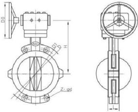 D371F4-16C Fully Lined Butterfly Valve With Worm Gear Drive photo-2