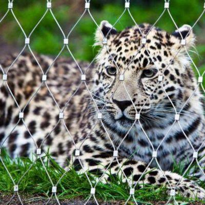 Stainless Steel Wire Rope Mesh 7x19 Construction for Zoo Enclosures photo-4