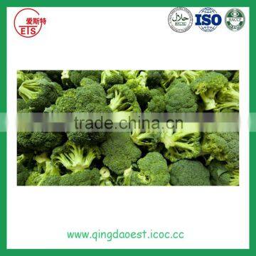 Bulk Packing Fresh Broccoli photo-3