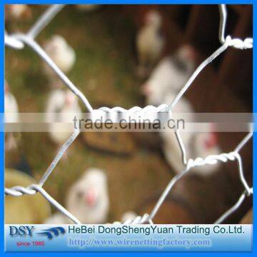 Chicken wire mesh/Hexagonal wire mesh/1/2 inch pvc coated hexagonal wire mesh direct factory