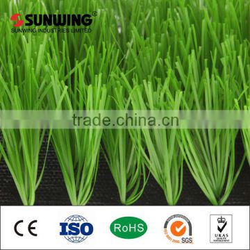 Around swimming pool grass football soccer pitch artificial lawn