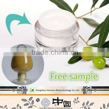 Factory wholesale with cheap price natural organic oleuropein hydroxytyrosol