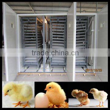 Zhengzhou Thrive hatch quail machine