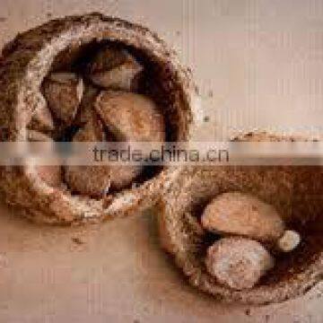 BRAZIL NUTS