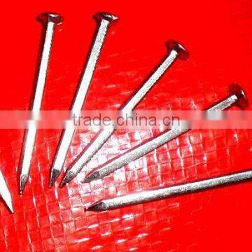 galvanized square boat nails factory