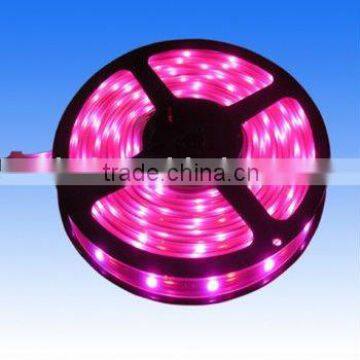 holiday light led strip(CE/RoHS/FCC)