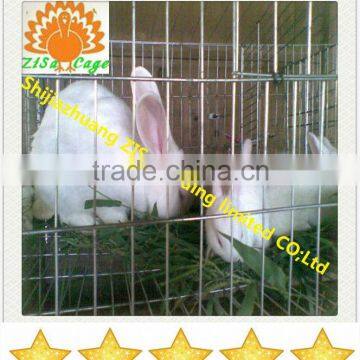 china suppliers cheap price Automatic rabbit breeding farming cage