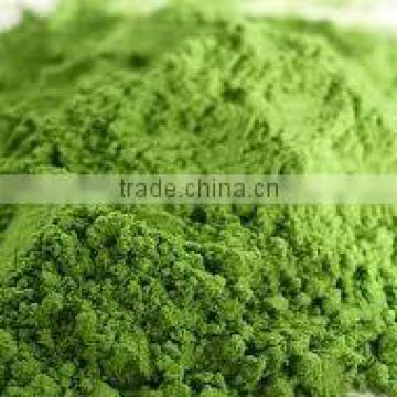 Wheat Grass Powder