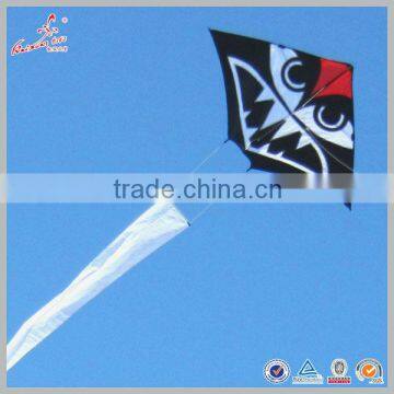 Weifang 163cm Wingspan Snake Kite with 18m long tail