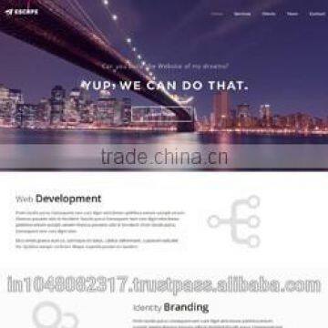 Responsive Website Designing Services India photo-6