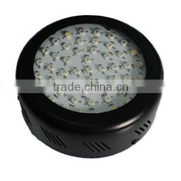 Cheap Round 110V 300W Special Spectrum Led Plant Light photo-6
