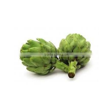 Artichoke Extract---- 2.5%-5% UV cynarin