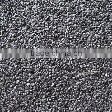 Black Sesame Seed
