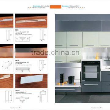 6000 series anodizing, SS ,CP aluminum kitchen cabinet handle Foshan