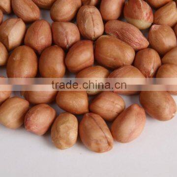 Export Quality Java Peanuts