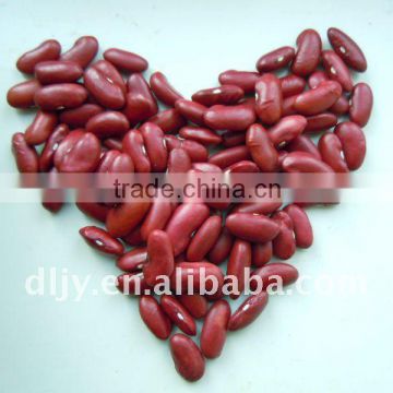 Dark Red Kidney Beans (new)