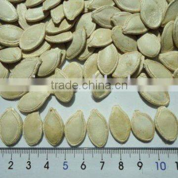 Chinese Shine Skin Pumpkin Seeds