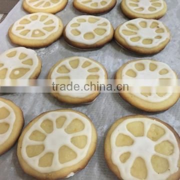 HIgh quality instant dried lemon powder