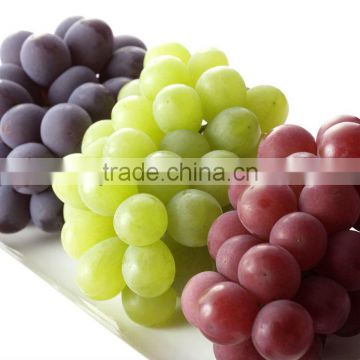 Grape Seed Extract