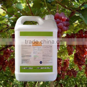 Customized Packing Agrochemical Tebuconazole 430 SC