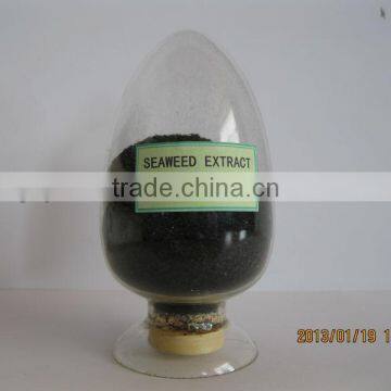 seaweed extract fertilizer for agriculture application