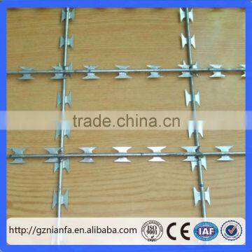 Diamond Hole/Square Hole Galvanized and Pvc Concertina Razor Wire Fence (Guangzhou Factory) photo-2