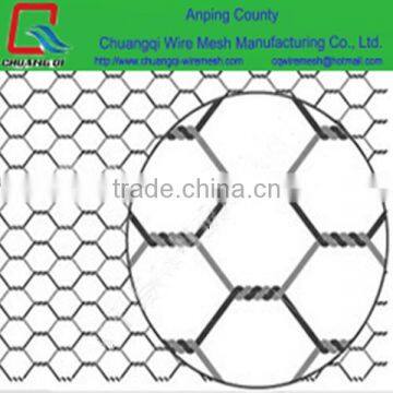 top quality and low price hot dipped galvanized gabion net/wire mesh/netting/cage/basket