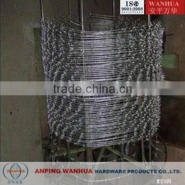 Hot Dipped Galvanized Razor barbed wire Mesh Fence ( Professional factory ISO9001)