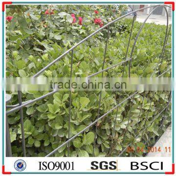 Pond Fence ---- Element Upper Arch. photo-3