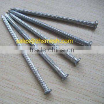 Galvanized Concrete Nails(professional factory)