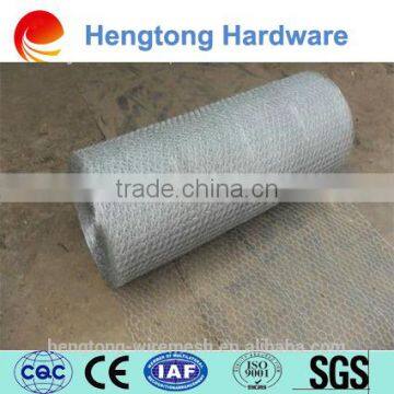 Cheap price Brasil Market Hexagonal Wire Netting/Hot Dipped Galvanized chicken wire mesh philippines