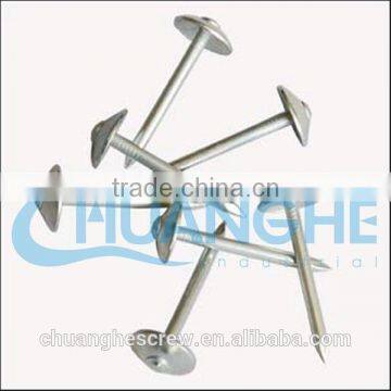 Barbed Roofing Nail Made in China photo-2