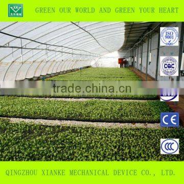Low Cost Single Span Film Greenhouse for Sale photo-3