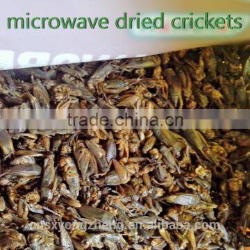 Factory Wholesale & Retail Microwave Dried Crickets for Pet Birds Food photo-2