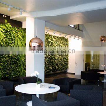Indoor Green Wall Succulent Plant or Leafy Plant Combination With the Soft Foam Backing photo-6