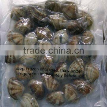 CHINESE LOCAL FACTORY LOCAL MATERIALS CLAM WITH SHELL VACCUM