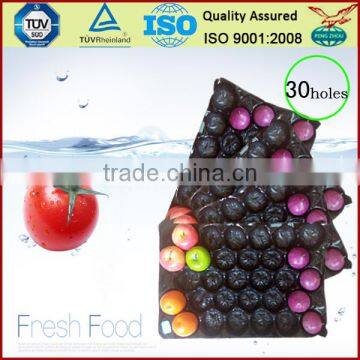 France Market Popular Wholesale 39x59cm Polypropylene Fruit Alveoles Tray For Apples photo-3