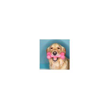 Hong Kong Pet Products