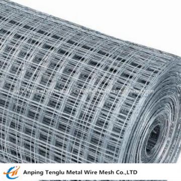 Galvanized Wire Mesh